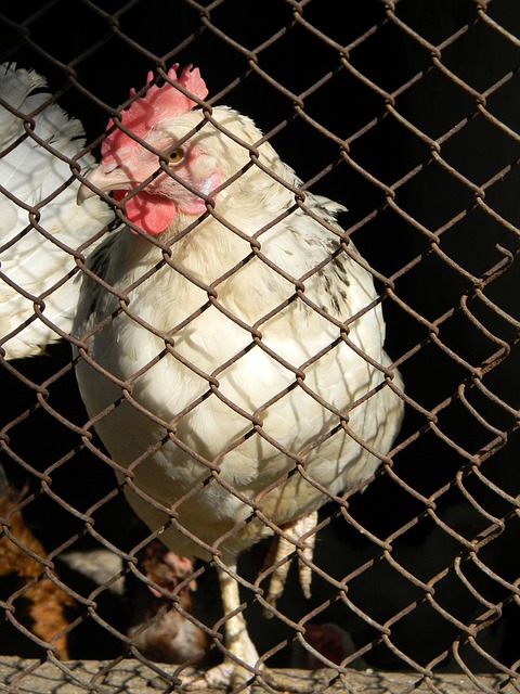 提供了多样 提供了多样