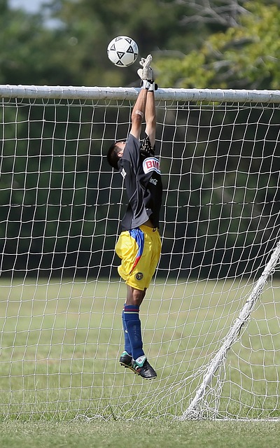 展示出的战 展示出的战