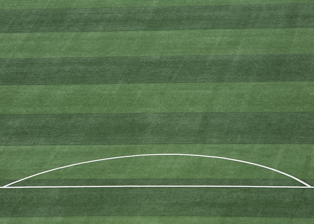 己的状态 己的状态