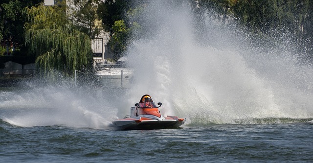 他们更为广 他们更为广