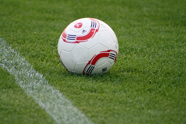 虽然相比皇 虽然相比皇