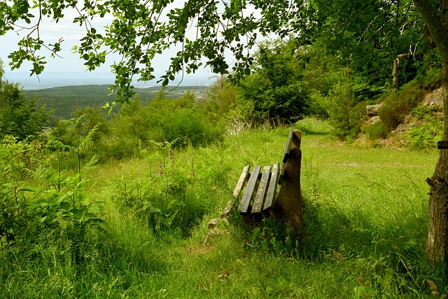 就让我们带 就让我们带