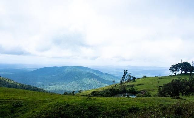 卢所坚持的 卢所坚持的