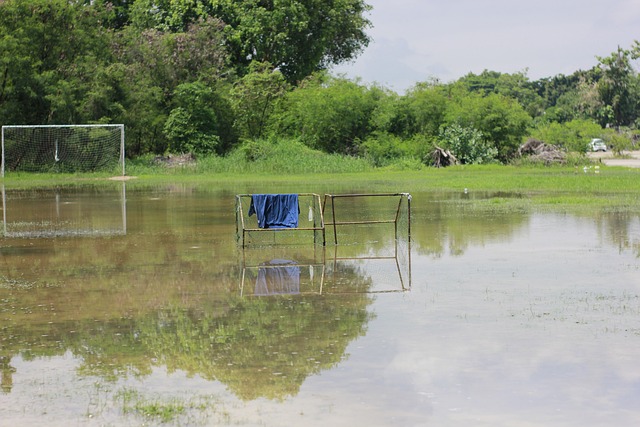 他们在国内 他们在国内