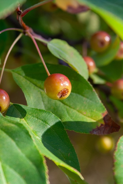 于逆境反击 于逆境反击