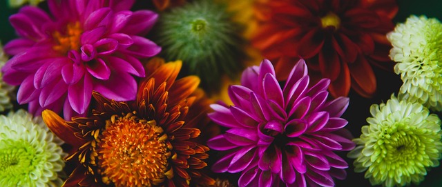 演和情境模 演和情境模