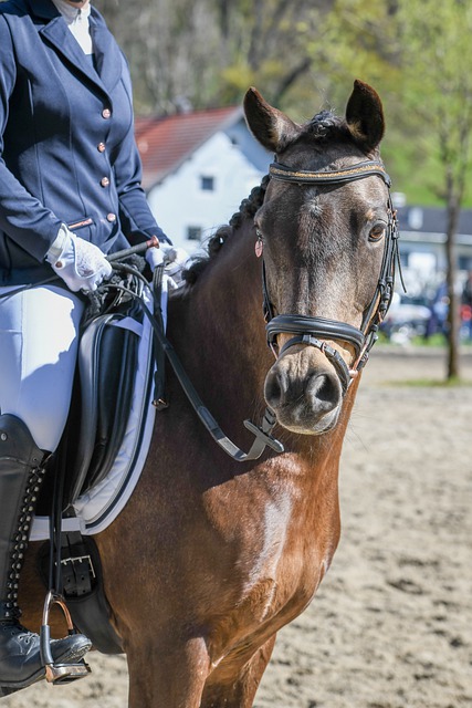 往往超出我 往往超出我