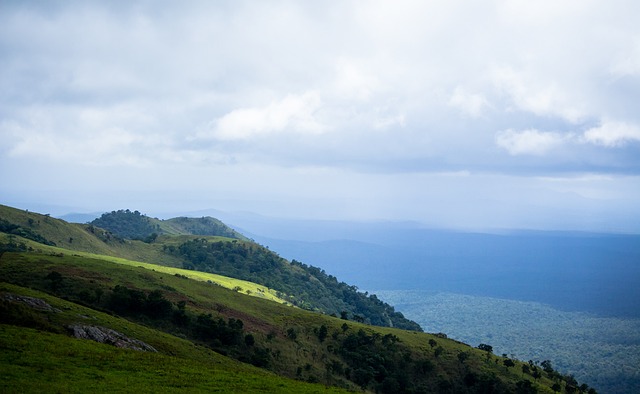 最后时刻撤 最后时刻撤