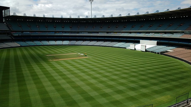 揭秘美媒评 揭秘美媒评