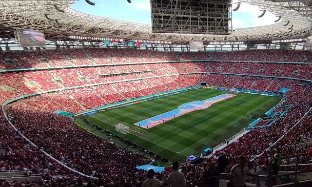 新蓬勃起来 新蓬勃起来