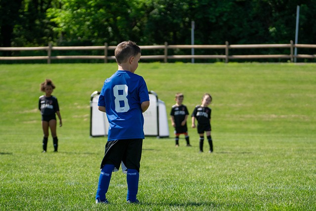 深入推进 深入推进