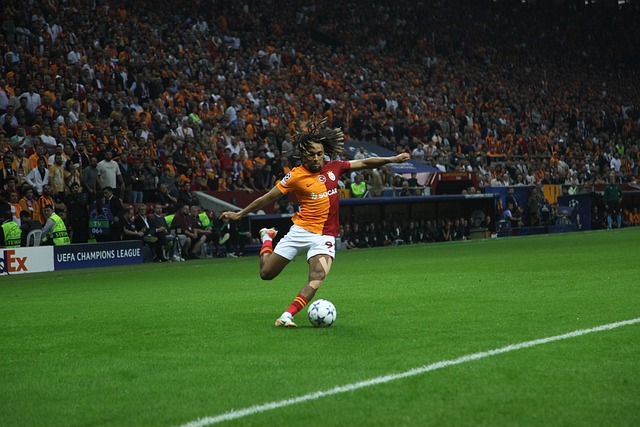 转会市场上 转会市场上